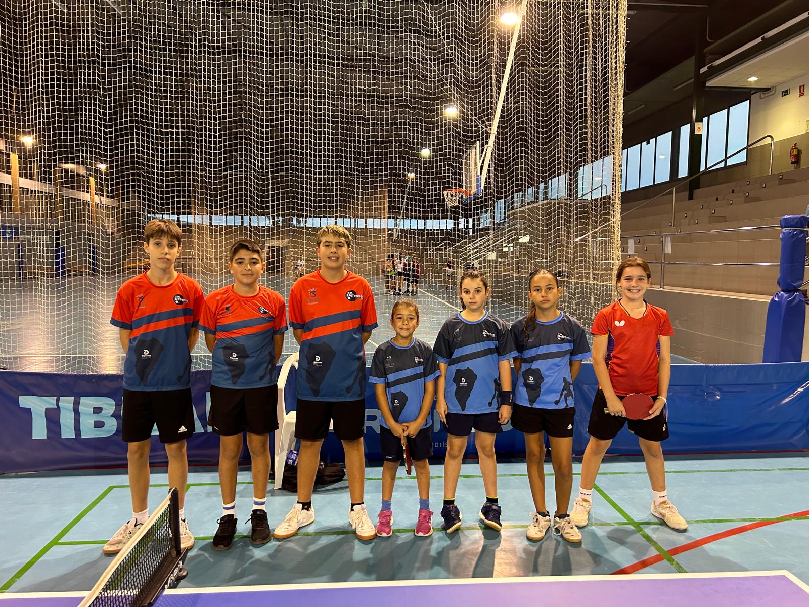 TM Defense Electrosatel